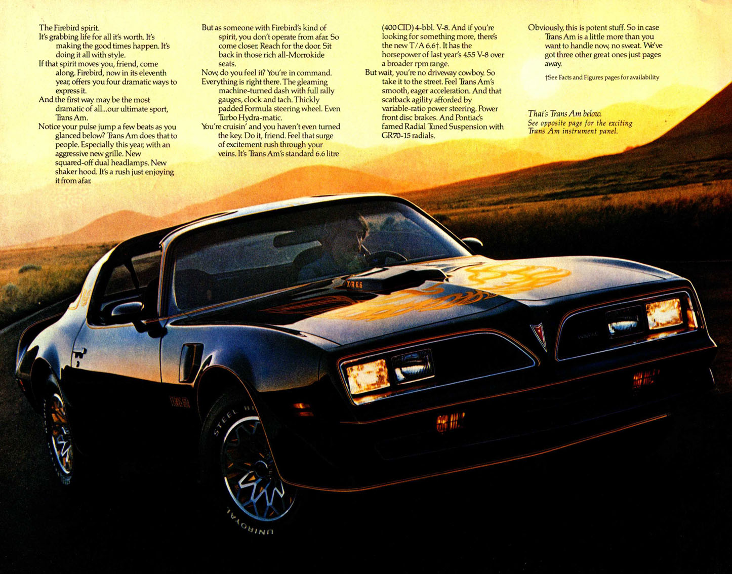 n_1977 Pontiac Firebird (Cdn)-02.jpg